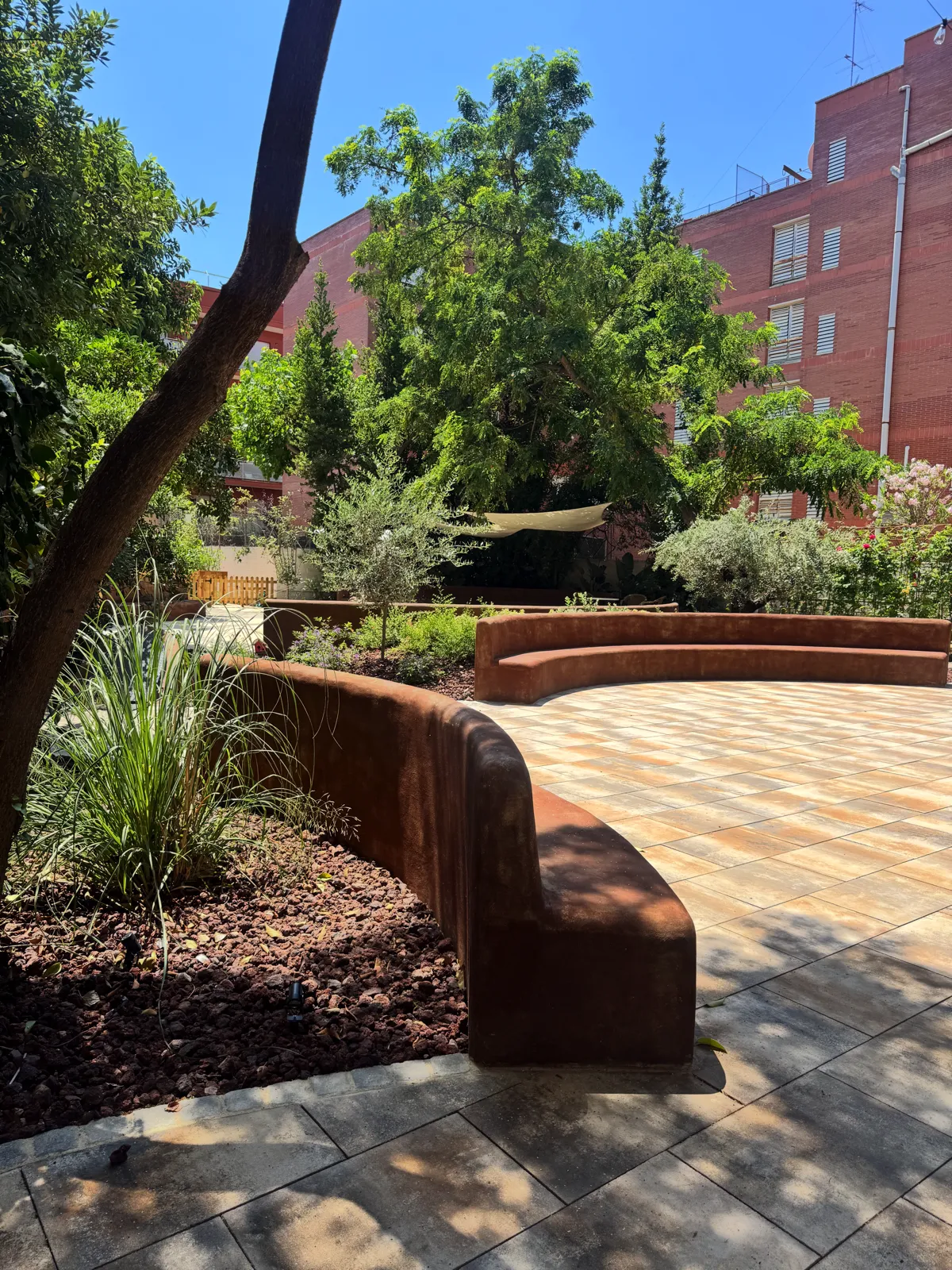 IMG_0557